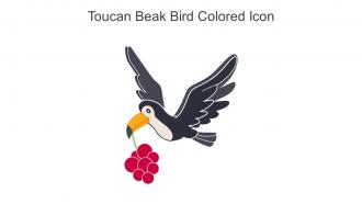 Toucan Beak Bird Colored Icon In Powerpoint Pptx Png And Editable Eps Format