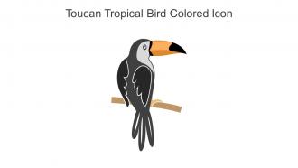 Toucan Tropical Bird Colored Icon In Powerpoint Pptx Png And Editable Eps Format