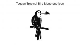 Toucan Tropical Bird Monotone Icon In Powerpoint Pptx Png And Editable Eps Format