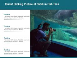 Tourist Clicking Picture Of Shark In Fish Tank