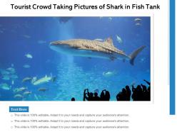 Tourist Crowd Taking Pictures Of Shark In Fish Tank