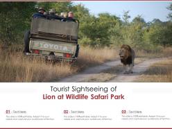 Tourist sightseeing of lion at wildlife safari park