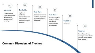 Trachea And Esophagus Key Differences Explained PPT Outline AT Informative Compatible