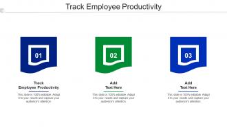 Track Employee Productivity Ppt Powerpoint Presentation Professional Show Cpb