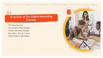 Trade And Consumer Overview Of Our Digital Marketing Strategy For Table Of Contents
