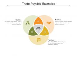 Trade payable examples ppt powerpoint presentation outline graphics download cpb