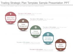 Trading Strategic Plan Template Sample Presentation Ppt