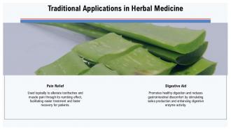 Traditional Applications In Herbal Medicine Spilanthes Acmella PPT Presentation ST AI SS