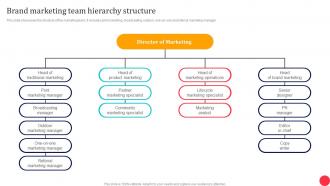 Traditional Media To Improve ROI Brand Marketing Team Hierarchy Structure