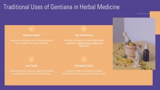 Traditional Uses Of Gentiana In Herbal Medicine PPT Template ST AI SS