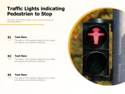 Traffic lights indicating pedestrian to stop