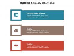 Training strategy examples ppt powerpoint presentation layouts cpb