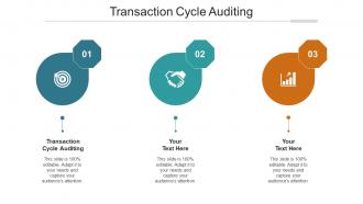 Transaction Cycle Auditing Ppt Powerpoint Presentation Outline Graphics Cpb