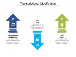 Transcriptional modification ppt powerpoint presentation model templates cpb