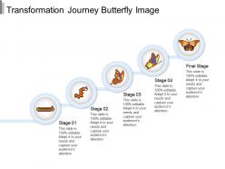 Transformation journey butterfly image