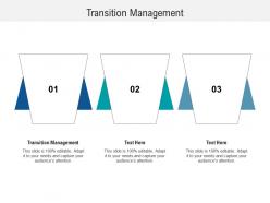 Transition management ppt powerpoint presentation infographic template backgrounds cpb