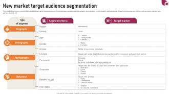 Transnational Strategy New Market Target Audience Segmentation Strategy SS V