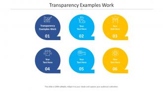 Transparency examples work ppt powerpoint presentation infographic template cpb
