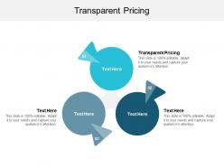 Transparent pricing ppt powerpoint presentation infographic template gridlines cpb