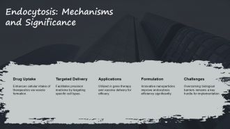 Transport Mechanisms In Drug Delivery Innovations And Challenges PPT Designs ACP Appealing Professional