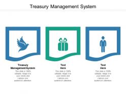 Treasury management system ppt powerpoint presentation good cpb