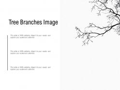 Tree Branches Image