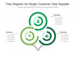 Tree diagram for single customer view supplier infographic template