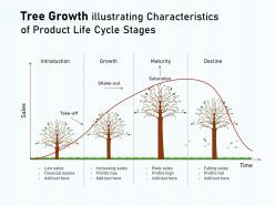 Tree Growth Illustrating Characteristics Of Product Life Cycle Stages