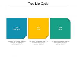 Tree life cycle ppt powerpoint presentation summary model cpb
