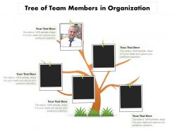 Tree of team members in organization