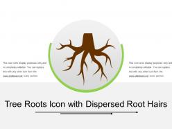 Tree Roots Icon With Dispersed Root Hairs