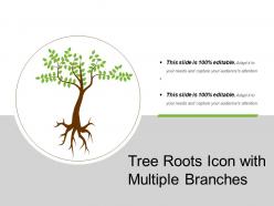 Tree roots icon with multiple branches