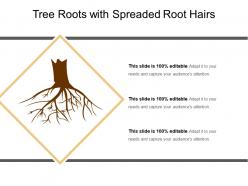 Tree roots with spreaded root hairs