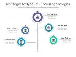 Tree stages for types of fundraising strategies infographic template