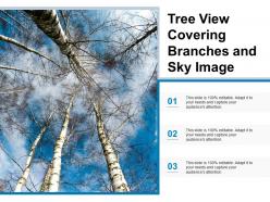 Tree View Covering Branches And Sky Image