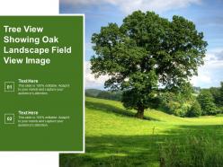 Tree View Showing Oak Landscape Field View Image