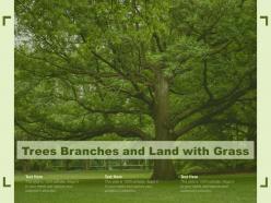 Trees branches and land with grass