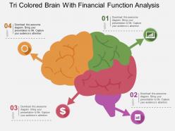 Tri colored brain with financial function analysis flat powerpoint design
