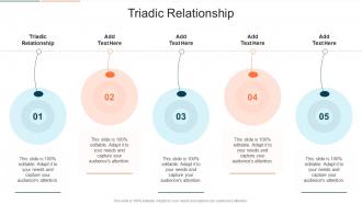 Triadic Relationship In Powerpoint And Google Slides Cpb