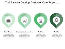 Trial balance develop customer care project planning control