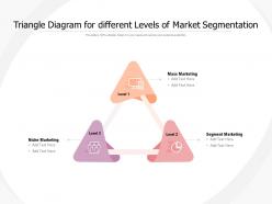 Triangle diagram for different levels of market segmentation