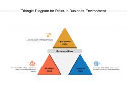 Triangle diagram for risks in business environment