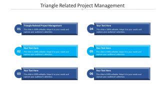 Triangle related project management ppt powerpoint presentation icon structure cpb