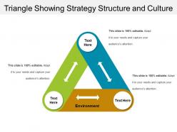Triangle Showing Strategy Structure And Culture