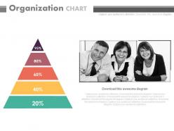 Triangle with percentage organization chart powerpoint slides