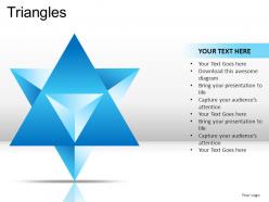 Triangles powerpoint presentation slides