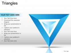 Triangles powerpoint presentation slides