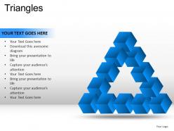 Triangles powerpoint presentation slides