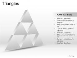 Triangles powerpoint presentation slides