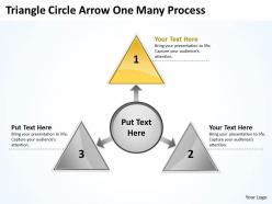 Triganle circle arrow one many process 21
